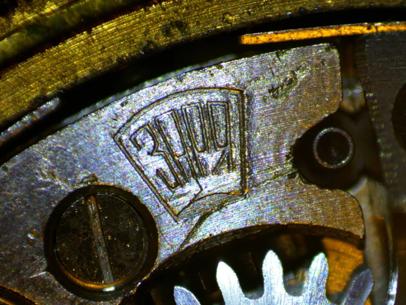 image1-3.jpeg