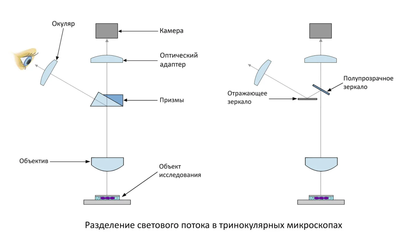 3-Тринокуляры.jpg 3-Тринокуляры.jpg